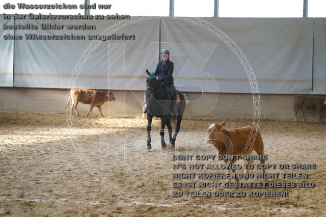 s_K3F02403.JPG